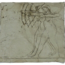 Sanjin Vinković - Amazonke