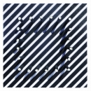 Nives Vuglec Antolić - Zoom 2