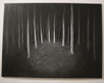 Sebastijan Dračić - Measuring the world, 2013.