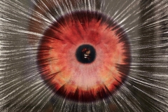 IVAN MIDŽIĆ - Umjetnikovo oko, 2015., fotografija/pastel (print na pleksiglas), 98x98cm