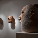 Postav - foto: Dražen Bota