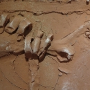 Trubač I, 2006.; terakota