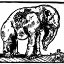 Surlaš, 1965.; linorez, iz mape 'Bestijarij'