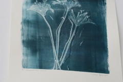 15.Cash&Carry - Marija Graša