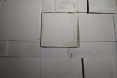 Bijele monografije