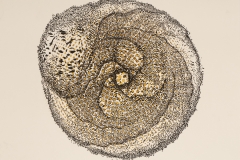 Dubravka Kanjski - Polje, spin, distorzija, 2019.
