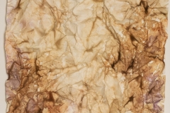 Lea Popinjač. - Boje puti, 2019.