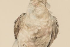 Lora Elezović - Bobirib, 2019.