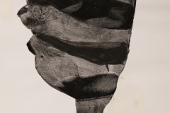 Petar Dolić - Stablo, 2018.