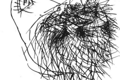 Glava (T151), 1948-50, tuš pero papir, 43x28cm