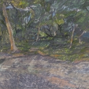 Nekoliko popodneva, 2014.