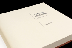 Arhiva sjećanja - knjiga umjetnika