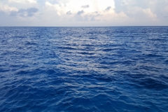 Maldivi