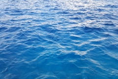 Maldivi