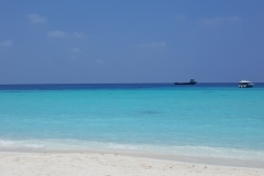 Maldivi