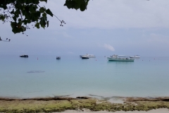 Maldivi