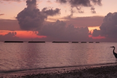 Maldivi