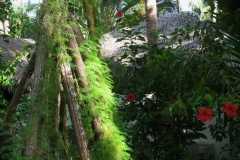 Maldivi