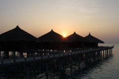 Maldivi