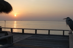 Maldivi