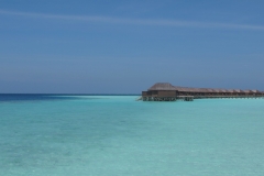 Maldivi