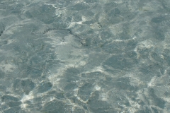 Maldivi