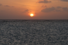 Maldivi