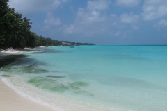 Maldivi