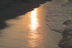 Maldivi