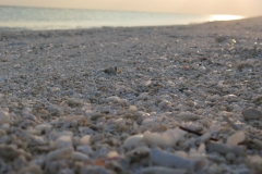 Maldivi