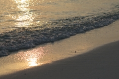 Maldivi