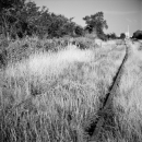 Railway From My Childhood (Vukovar, 2000.)