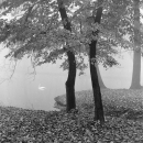 Untitled III (Zagreb, 2011.)