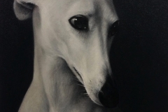 Pogled u stranu - ulje na platnu, 70x50cm, 2014.